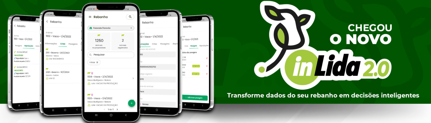 Banner_Home_01_v_final