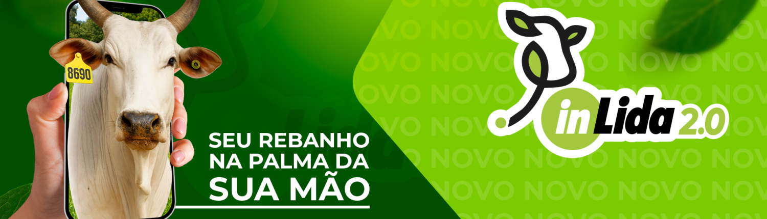 Banner_Home_02_v_final