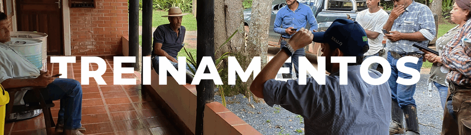 banner-treinamentos